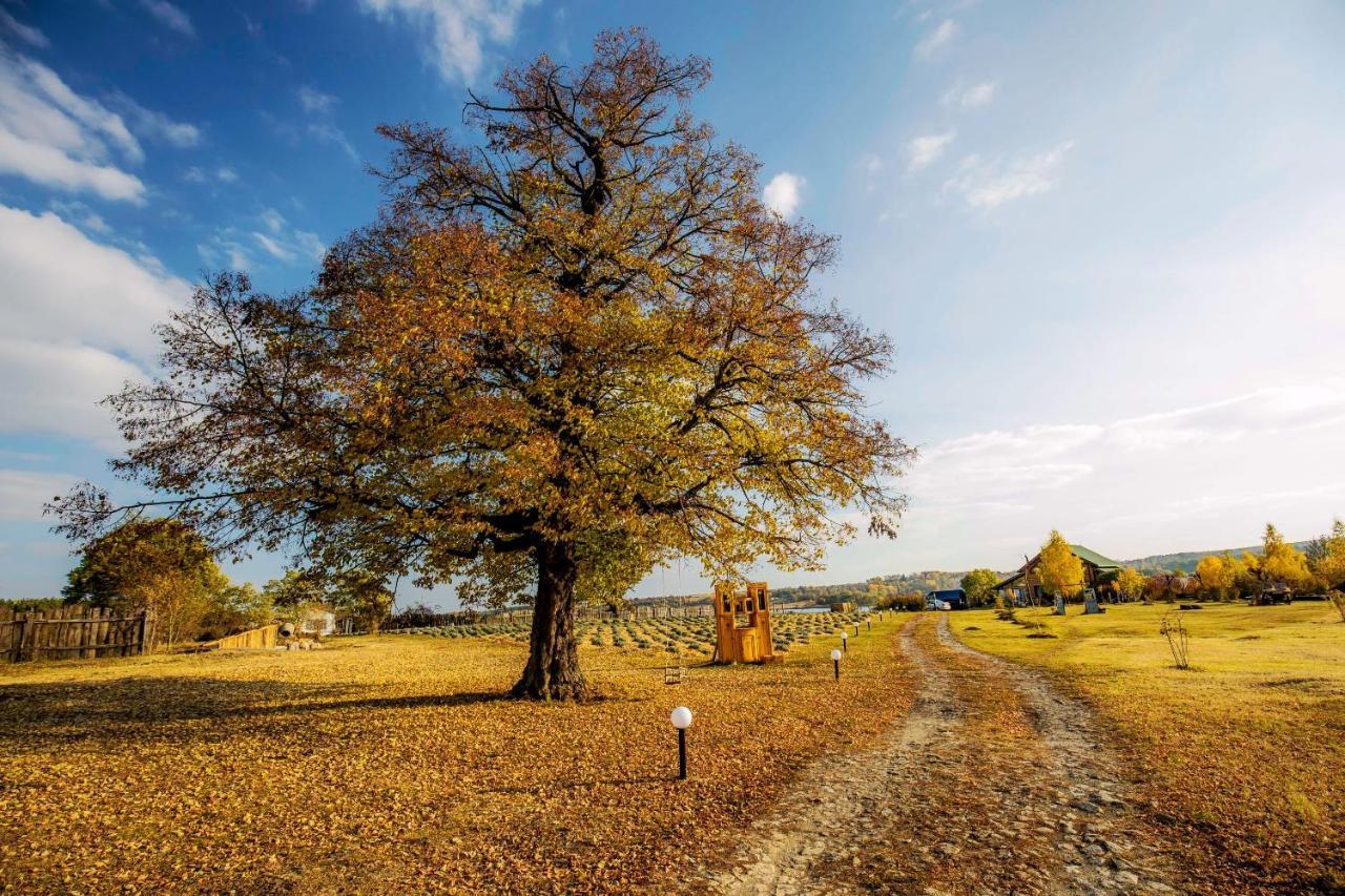 Country House Domik V Derevne Markovtsy  Bagian luar foto