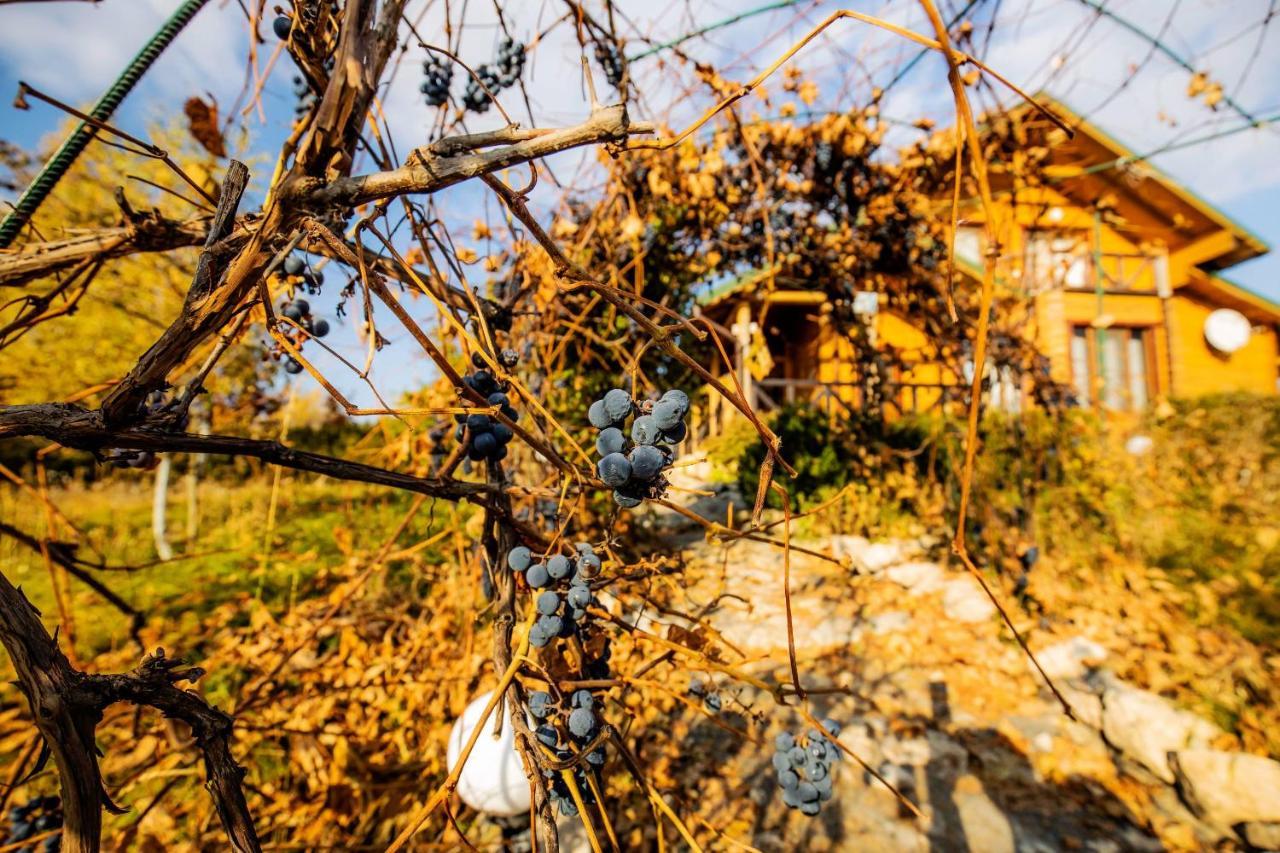 Country House Domik V Derevne Markovtsy  Bagian luar foto