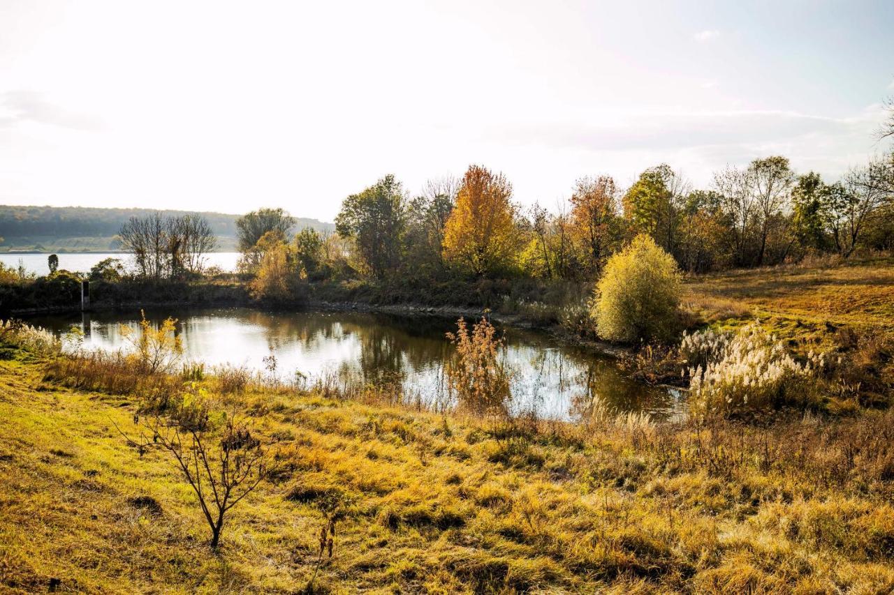 Country House Domik V Derevne Markovtsy  Bagian luar foto
