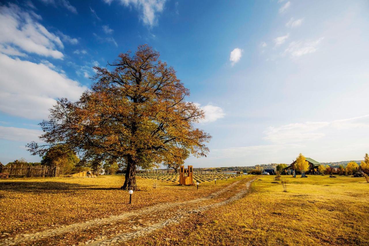 Country House Domik V Derevne Markovtsy  Bagian luar foto